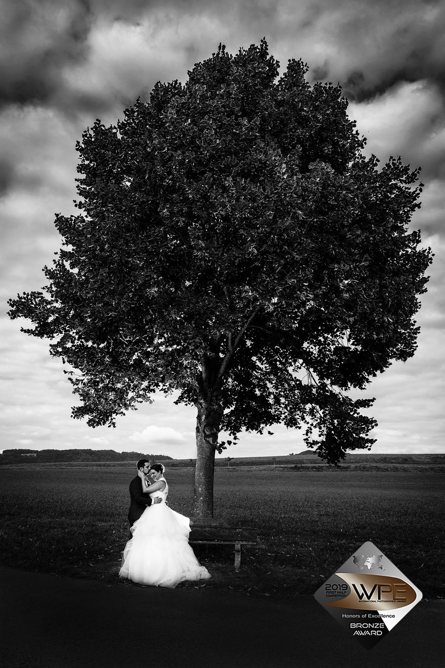 Brautpaar unter einem mächtigen Baum vor dramatischem Himmel, schwarz-weiss